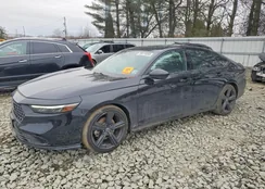 1HGCY2F71PA021595: 99174065