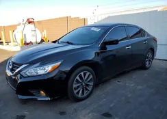 1N4AL3AP9HC202571: 74431365