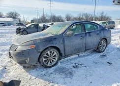 1LNHL9FT0BG610163: 74805465