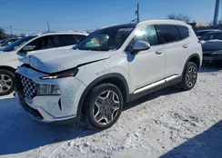 5NMS3DA1XPH008390: 75186535