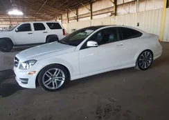 WDDGJ4HB6FG355060: 99172235