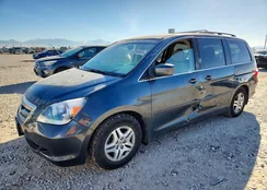 5FNRL38496B096941: 73549655