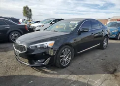 KNALN4D7XF5171277: 43876785