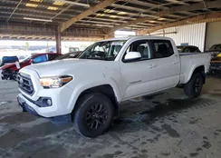 3TMDZ5BN0LM086800: 79082385