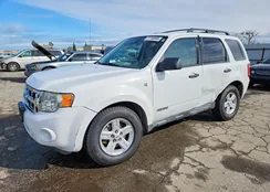 1FMCU49H08KC69175: 77750965