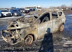 1FMCU0F71DUB95963: 75018205