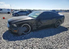 1ZVBP8AMXE5210861: 77763815