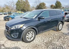 5XYPGDA56HG196978: 77857105