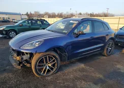 WP1AA2A54RLB10048: 77928395