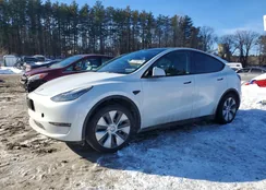 7SAYGAEE5NF390260: 77316175