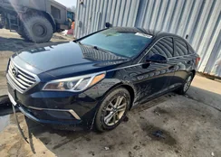 5NPE24AF4GH309879: 77756345