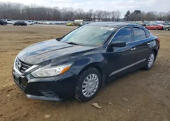 1N4AL3AP9GC280167: 75662995