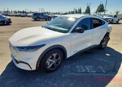 3FMTK1RM8PMA01855: 77424955