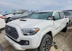 3TMCZ5AN6PM564057: 78166235