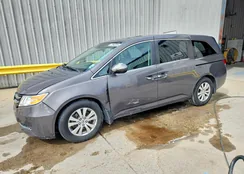 5FNRL5H61EB094662: 77943285