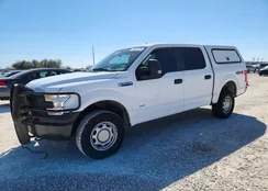 1FTEW1EG9FKD72174: 79416725