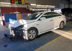 KMHEC4A49DA065799: 75621695