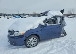 2T1BU4EEXCC903758: 99351745