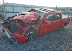 3TMCZ5AN3LM300921: 77186875