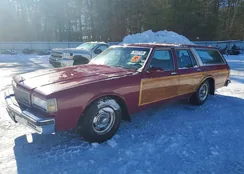 1G1BN81Y3KA110169: 74137115