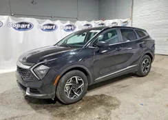 KNDPU3AF5P7149335: 78465795