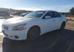 1N4AA5AP4CC848949: 77149345