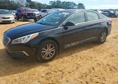 5NPE24AF5HH512815: 76114585