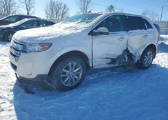 2FMDK3KC4BBB66393: 75393495