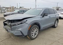 7FARS3H73PE005049: 76993565