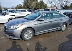 KMHE24L32HA065480: 79110695