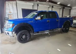 1FTFW1EV9AFD67447: 74785175