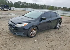 1FADP3F24FL263032: 76988205