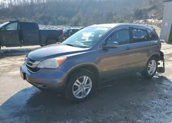 5J6RE4H74BL073305: 76640955