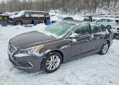 5NPE24AF2GH397251: 79151565