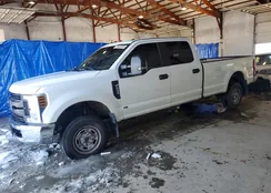 1FT7W2BT0KED41176: 75653535