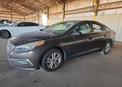 5NPE24AF2FH199784: 78347345