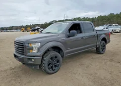 1FTEW1EG5HKC15597: 75394785