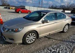 1HGCR3F84DA041525: 78976565