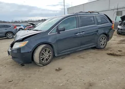 5FNRL5H60DB041806: 76905605