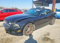 1ZVBP8EM2D5276331: 75971045