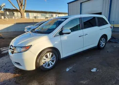 5FNRL5H69FB109054: 76795515