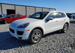 WP1AA2A21GKA09784: 75353725