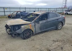 5NPE24AFXJH598662: 77689575