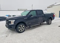 1FTFW1E11JFD81565: 73595555