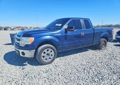 1FTEX1CM0DFD95032: 76629855