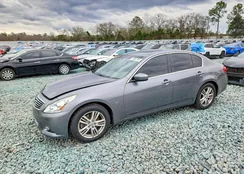 JN1CV6AP2FM502431: 77987765