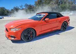 1FATP8UH2F5347841: 78603275