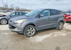 1FMCU9HX8DUB66123: 77760015