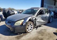 1N4BA41E88C836341: 78349715