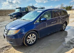 5FNRL5H45EB069973: 79571815